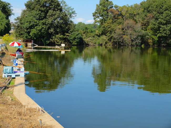 f:id:cippillo:20131103171931j:plain f:id:cippillo:20131103171931j:plain