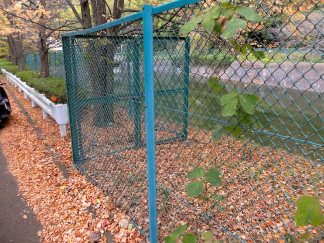 f:id:cippillo:20131110144105j:plain