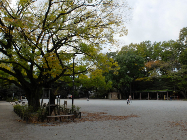 f:id:cippillo:20131110144119j:plain