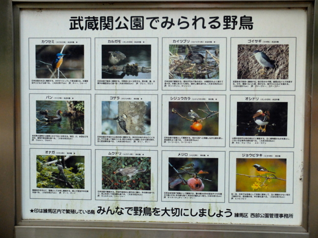 f:id:cippillo:20131110144122j:plain