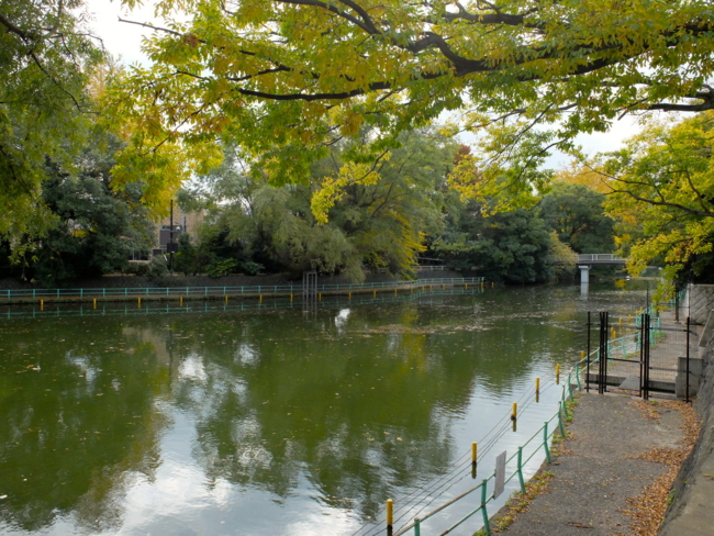 f:id:cippillo:20131110144123j:plain