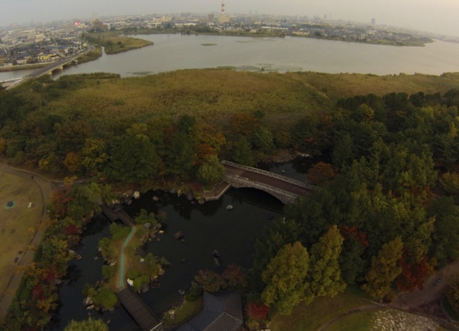 f:id:cippillo:20131113160857j:plain f:id:cippillo:20131113160857j:plain