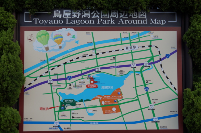 f:id:cippillo:20131113160902j:plain f:id:cippillo:20131113160902j:plain