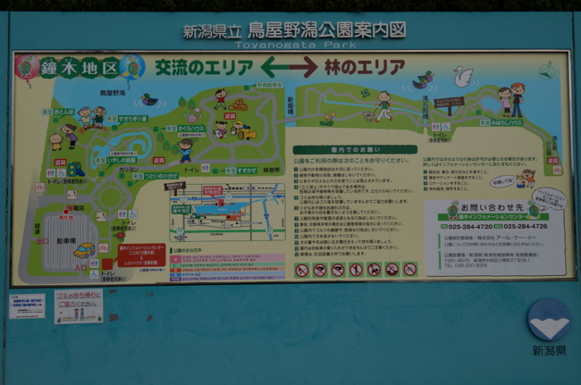 f:id:cippillo:20131113160903j:plain f:id:cippillo:20131113160903j:plain