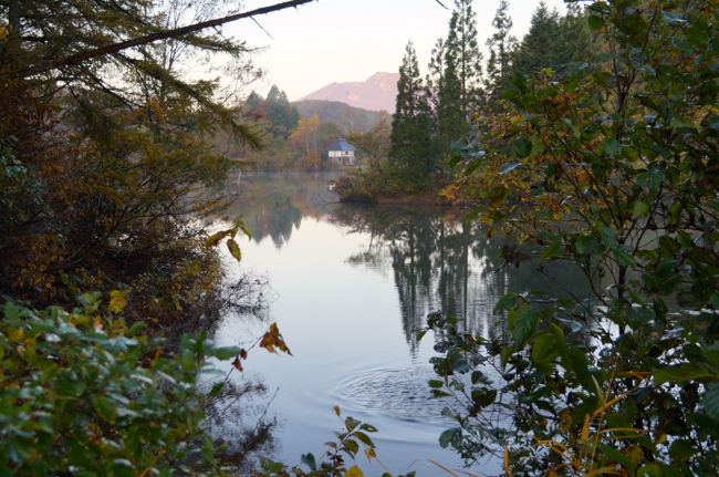 f:id:cippillo:20131118113847j:plain