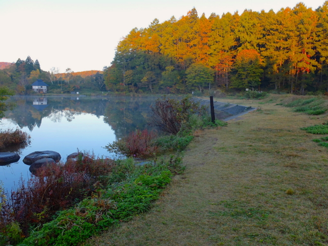 f:id:cippillo:20131118113850j:plain