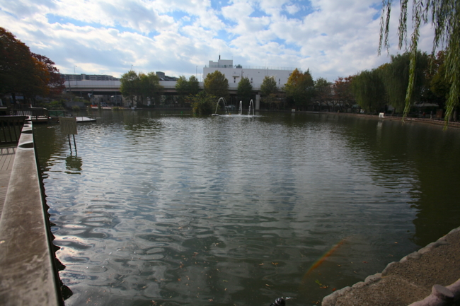 f:id:cippillo:20131121091220j:plain