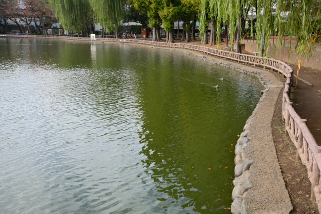 f:id:cippillo:20131121091222j:plain