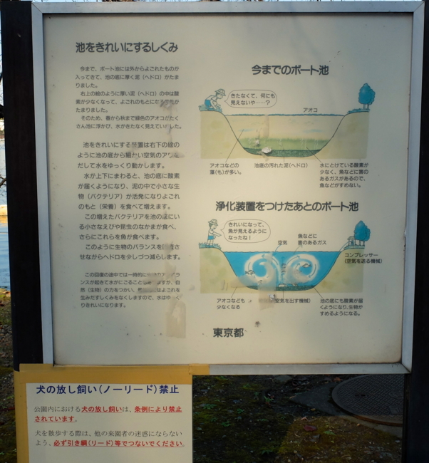 f:id:cippillo:20131207233119j:plain