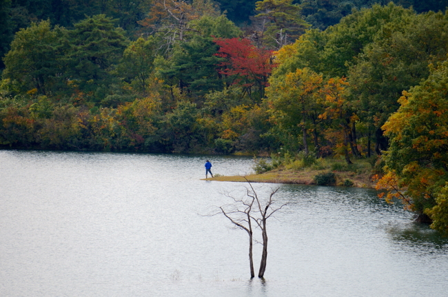 f:id:cippillo:20131207233135j:plain