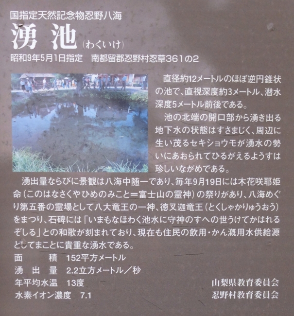 f:id:cippillo:20140114115247j:plain f:id:cippillo:20140114115247j:plain