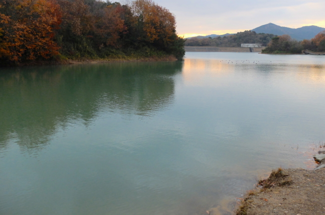 f:id:cippillo:20140121093123j:plain