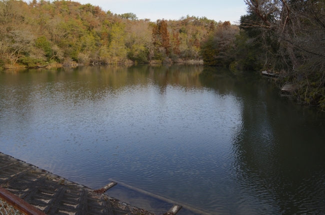 浜北野池群（静岡県） 水辺遍路