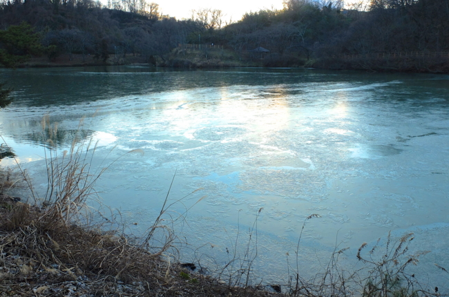 f:id:cippillo:20140219184501j:plain