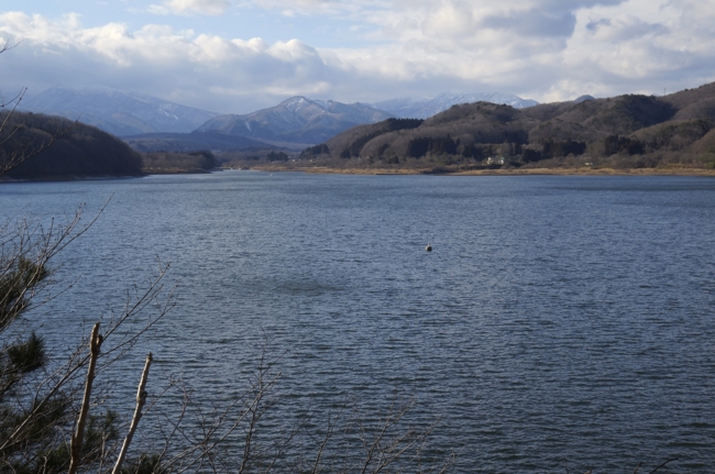 f:id:cippillo:20140219184506j:plain