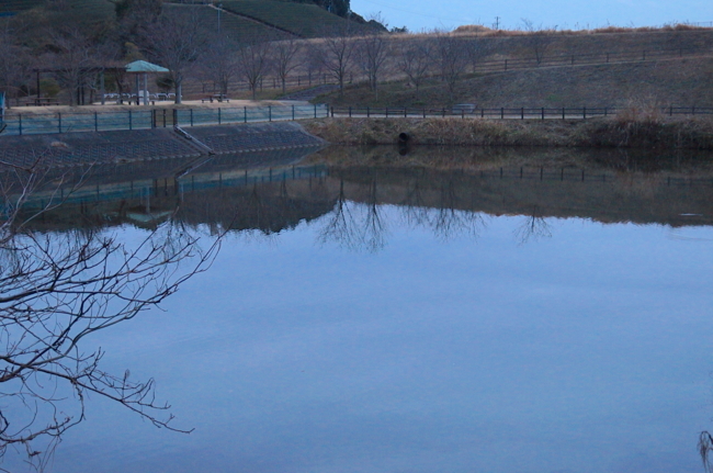 f:id:cippillo:20140226171452j:plain