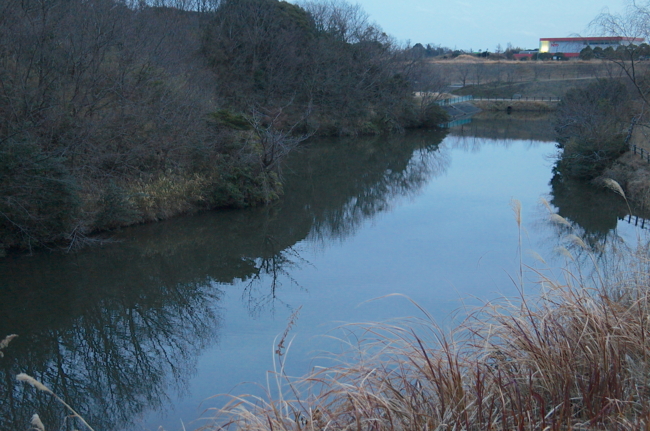 f:id:cippillo:20140226171453j:plain