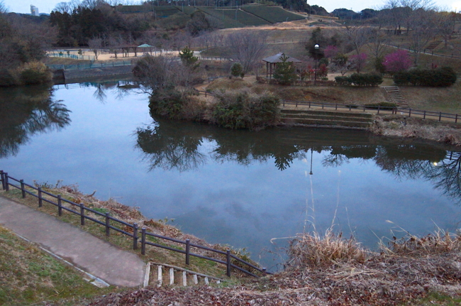 f:id:cippillo:20140226171454j:plain