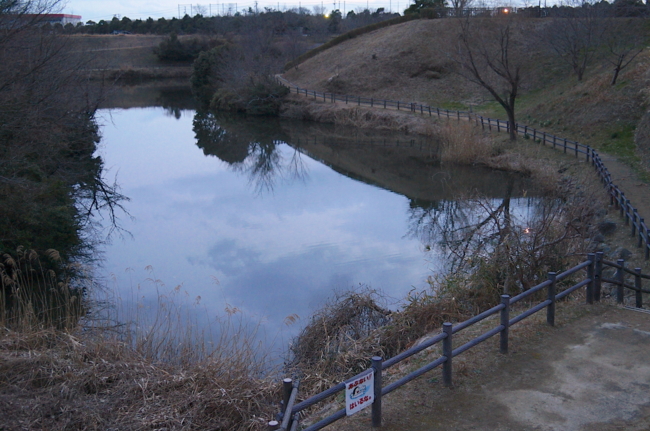 f:id:cippillo:20140226171455j:plain