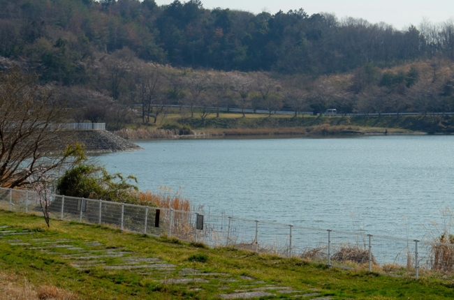 f:id:cippillo:20140410070040j:plain f:id:cippillo:20140410070040j:plain