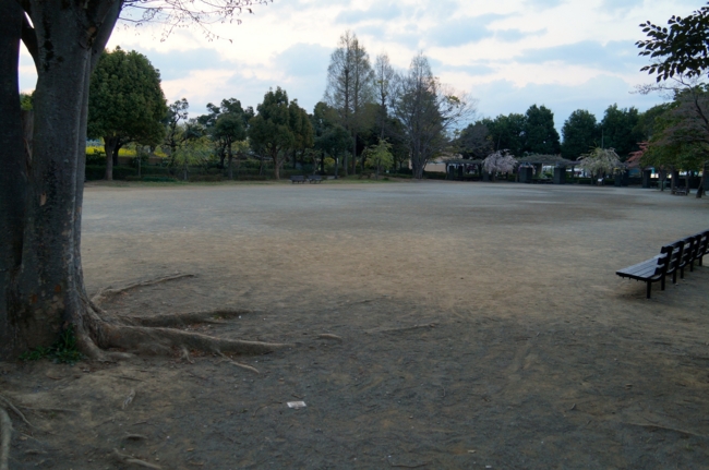 f:id:cippillo:20140417072052j:plain f:id:cippillo:20140417072052j:plain