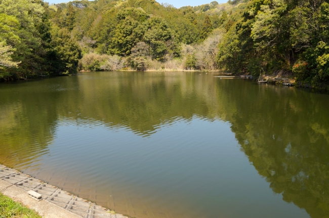 緑ヶ谷池(静岡県磐田) 水辺遍路