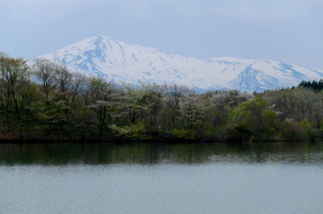 f:id:cippillo:20140506033847j:plain