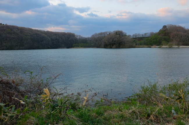f:id:cippillo:20140511132834j:plain
