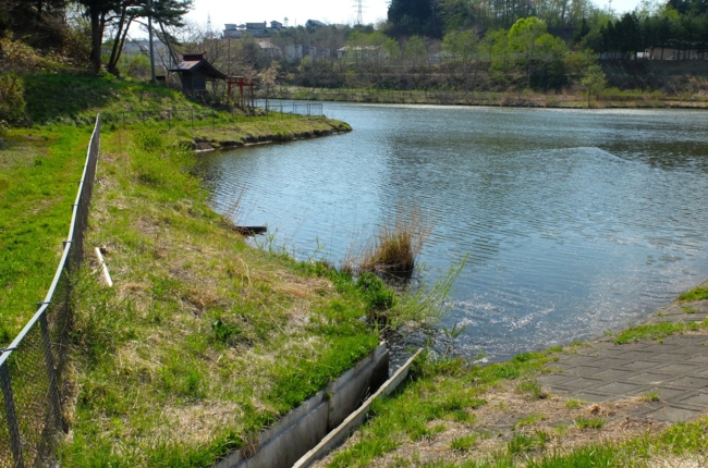 f:id:cippillo:20140512213409j:plain