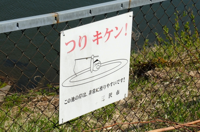 f:id:cippillo:20140512213411j:plain