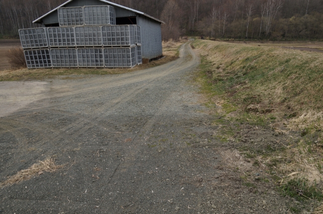 f:id:cippillo:20140514101856j:plain