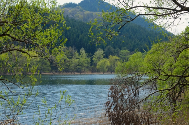 f:id:cippillo:20140518210336j:plain