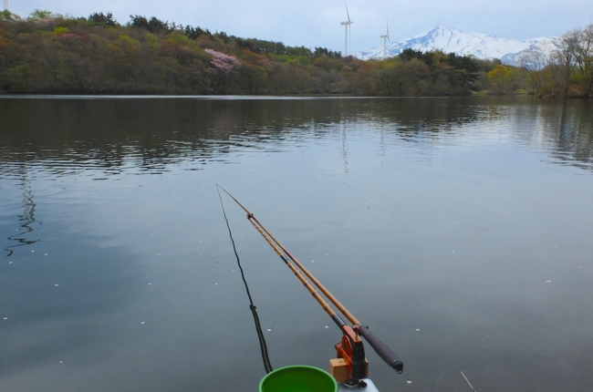 f:id:cippillo:20140518210358j:plain