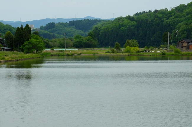 f:id:cippillo:20140530122622j:plain
