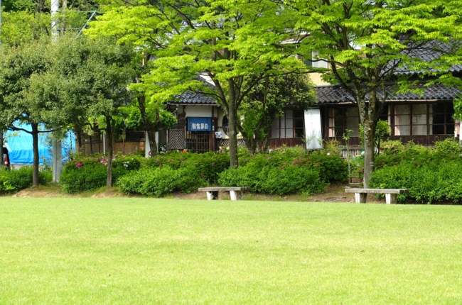 f:id:cippillo:20140530122654j:plain