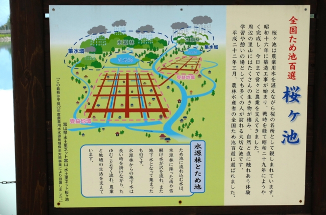 f:id:cippillo:20140530122655j:image