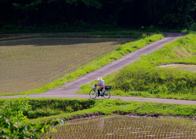 f:id:cippillo:20140531071512j:plain