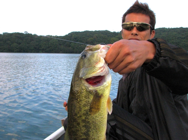 f:id:cippillo:20140616104955j:plain f:id:cippillo:20140616104955j:plain