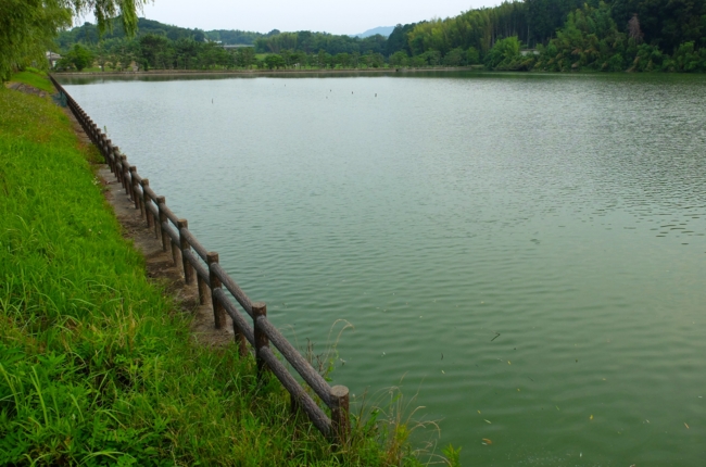 f:id:cippillo:20140730124203j:plain