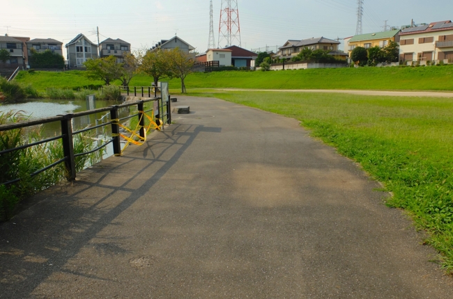 f:id:cippillo:20140919084549j:plain