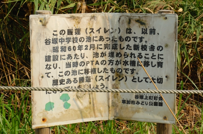 f:id:cippillo:20140919084551j:plain