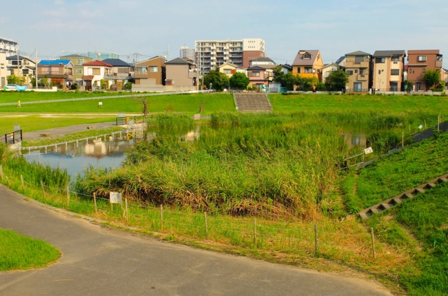 f:id:cippillo:20140919084552j:plain