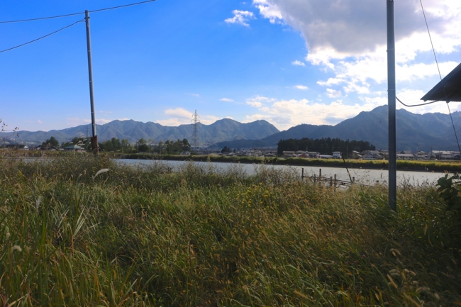 f:id:cippillo:20141018171945j:plain