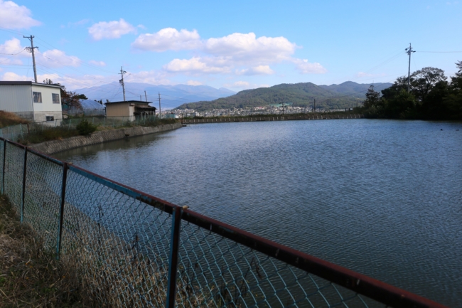 f:id:cippillo:20141019120255j:plain