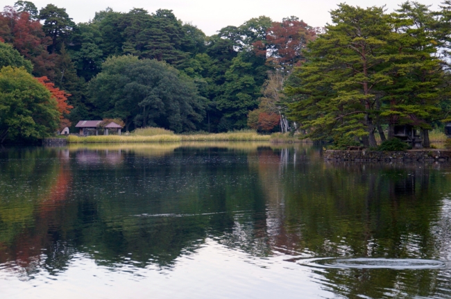 f:id:cippillo:20141021085002j:plain