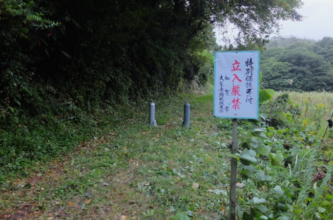 f:id:cippillo:20141027110741j:plain