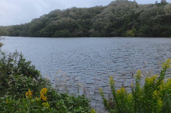 f:id:cippillo:20141027110743j:plain