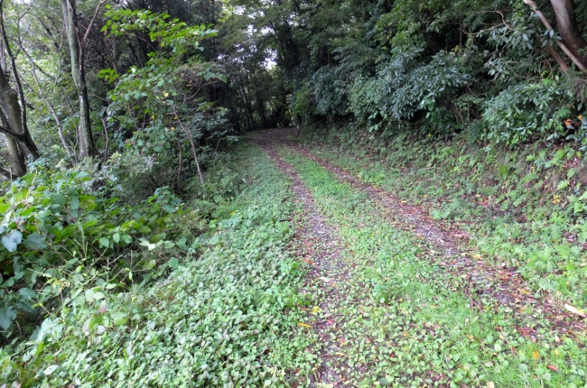 f:id:cippillo:20141027110747j:plain