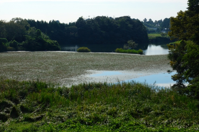 f:id:cippillo:20141027110841j:plain