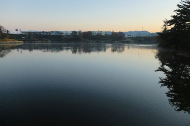 f:id:cippillo:20141105154433j:plain
